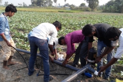 Micro Irrigation, Wheat & Sugercane Cultivation, Gardener & Dairy Entrepreneurship Training at Various Location
